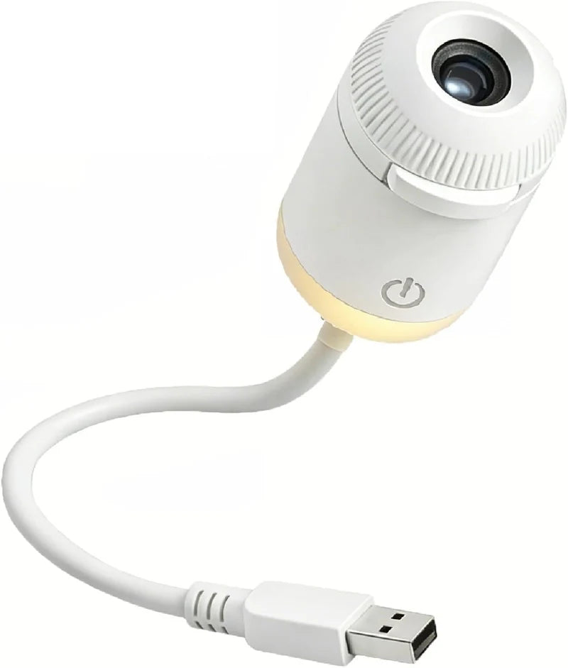 Sabhia